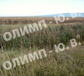 Sales , Plots , region Sofia , s.Krivina