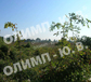 Sales , Plots , region Sofia , s.German