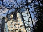 Глобалните консолидации и сливания ще предизвикат търсене в офисния сегмент в София